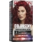 Colorstay Longwear Cream Color - Hair Dye n.6.6 Intense red