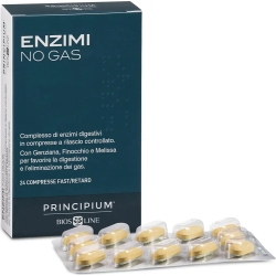 Principium Enzimi No Gas - Fibre Supplement 24 tablets