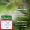 Rhodiola Rosea - Energy supplement 50 Capsules