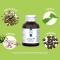 Prostalem New - Prostate Supplement 60 Capsules