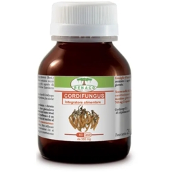Cordifungus Lung Health Supplement 60 Capsules