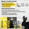 Detox - 3 purifying & anti-aging face masks