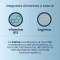 Meamemor - Brain Health Supplement 15 vials