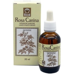 Rosa Canina Buds - Immune Boost Supplement 50 Ml