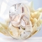 Omnia Crystalline - Eau de toilette for Woman 100 ml Spray