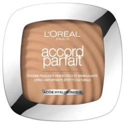 Accord Parfait - Natural effect powder n.7D7W Cannelle