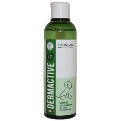 Dermactive - Anti-itch shampoo for dogs with chlorhexidine 200 ml