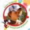 Mickey soap bubbles - 36 bottles