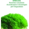 Spirulina Maxima - Tonic Supplement 120 Tablets