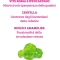 Legs Light Triple Action - Circulation Supplement 30 Capsules