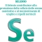 Selenium 55 - Antioxidant Supplement 120 Tablets