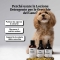 Bau Cosmesi Dog ear cleansing lotion 100 ml