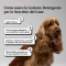Bau Cosmesi Dog ear cleansing lotion 100 ml
