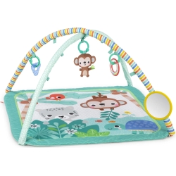 Palm Party - activity Gym