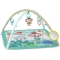 Palm Party - activity Gym