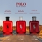 Polo Red - Eau de Parfum for Man 75 ml Spray