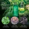 Wild Mint & Lavandin - Shower Gel 300 ml