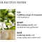 Orange Bergamot - Hand Cream 40 ml