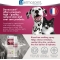 Atop 7 - soothing spray for dogs and cats 75 ml