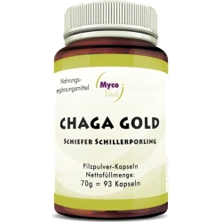 Chaga Gold - Immune System Supplement 93 Capsules