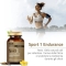 Salugea Sport 1 Endurance - Sport Supplement 60 Capsules