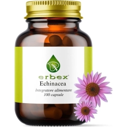 Echinacea - Immune System Supplement 100 capsules