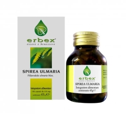 Spirea Ulmaria - Bone & Joint Health Supplement 100 Capsules