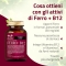 Salugea Ferro+ B12 - Vitamins and Minerals Supplement 60 capsules