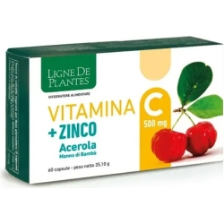 Vitamin C + Zinc - Immune Boost Supplement 60 Capsules