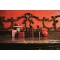 Pomegranate Perfume 100 Ml