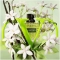 Born In Roma Green Stravaganza - Eau De Parfum For Woman 50 Ml Spray