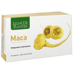 Maca Bio - Energy supplement 60 Capsules