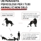 Panacur 250 Mg - Veterinary Antiparasitic Drug 10 Tablets