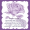 Plumping - Intensive anti-wrinkle sheet mask