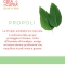 Ricette Di Miele - Mattifying Moisturizing Cream 50 Ml