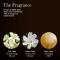 Flora Luminare Hand Care - Gift Box