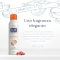 Asciutto - Sandalwood And Patchouli - Deodorant 150 Ml Spray