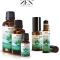 Zen Anima Naturale Mint Spirit Oil - Essential Oil 100 Ml