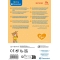 Bob the bear- Peluche First Activities