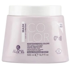 Color Protection Mask 500 ml