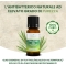 Tea Tree Oil - 100% Pure Essential Oil 10 Ml