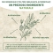 Tea Tree Oil - 100% Pure Essential Oil 10 Ml