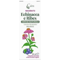 Echinacea And Ribes - Immune Boost Macerate 50 Ml