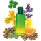 The Mandariners For Him - Eau De Toilette For Man 100 Ml Spray