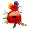 Snob - Eau de Toilette for Woman 100 Ml Spray