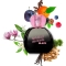 Black - Eau de Toilette for Woman 100 Ml Spray