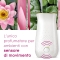 Sense&Spray Sensual Sandalwood & Jasmine - Air freshener + 1 refill