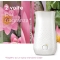Sense&Spray Sensual Sandalwood & Jasmine - Air freshener + 1 refill