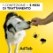 AdTab 112 Mg >2,5-5,5 Kg - Anti Flea & Tick Treatment for Dogs 3 Tablets