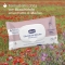 72 Delicate Wipes 0M+